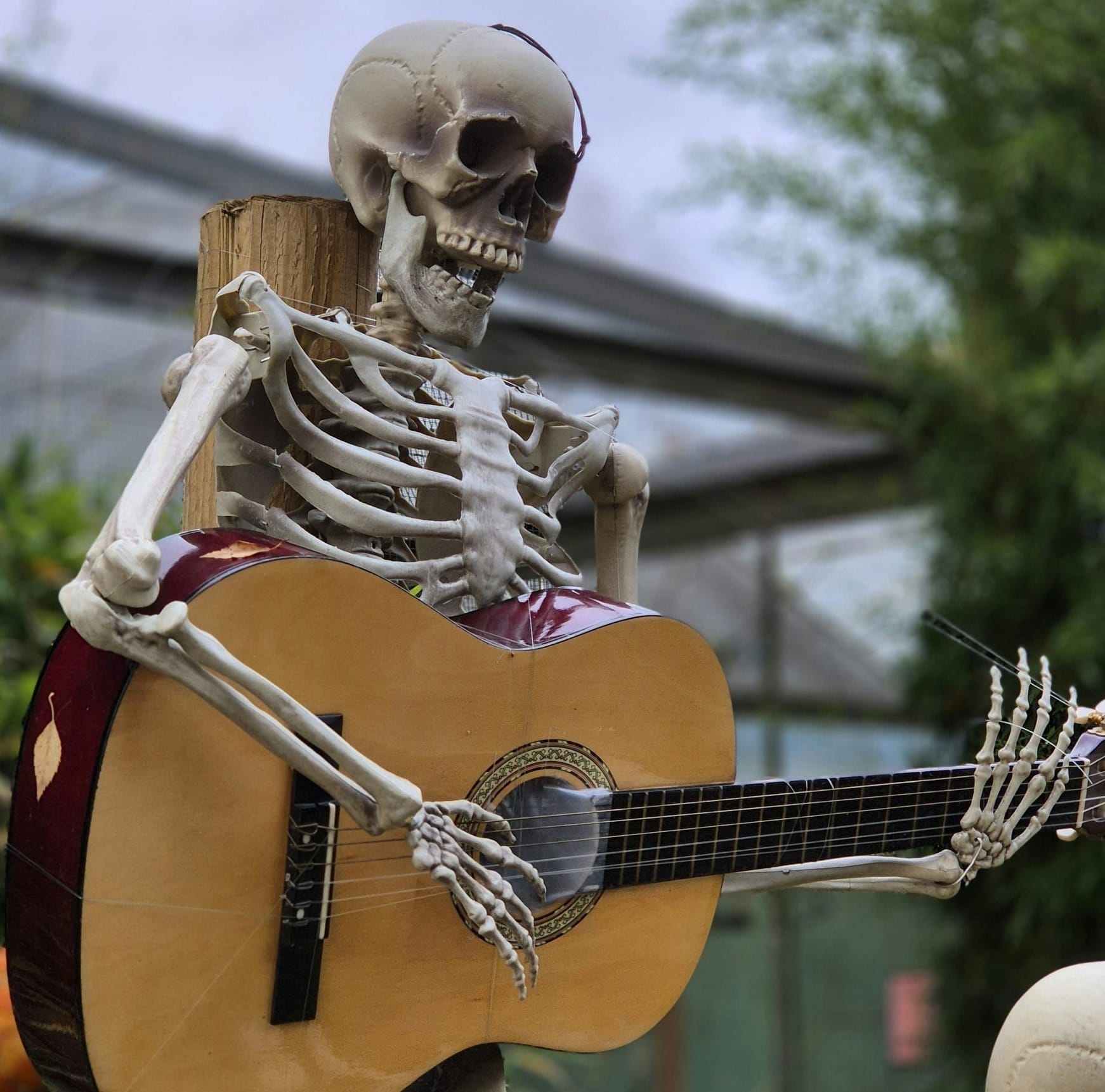 Guitarist in upright posture with relaxed shoulders, playing in a warm-lit home studio